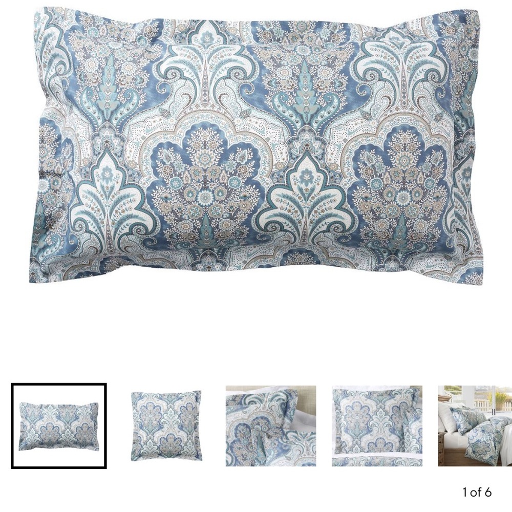 Pottery Barn Jordana Paisley Shams (2) - king
